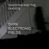 Dark Electronic Fields - Shadows and the Ghosts - Single